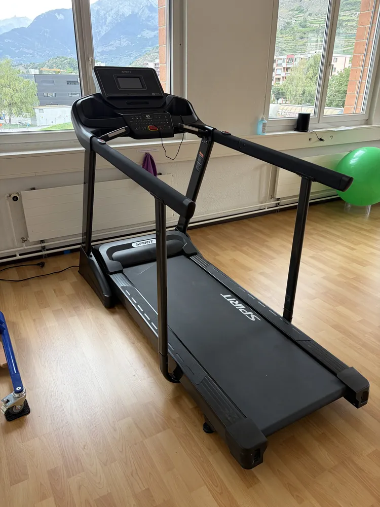 Tapis de marche avec barres d'appui latérales