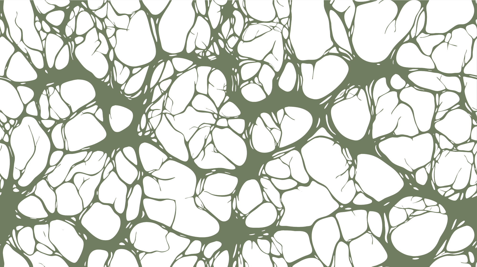 Motif graphique ConnexSion